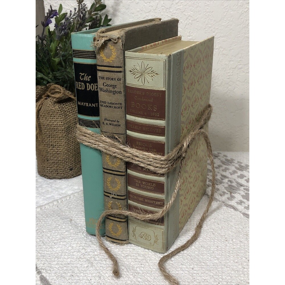 Lot Of 3 Vintage Old Books for Decor Staging Bookshelf Display Tan Brown Teal